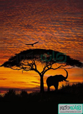 4-501_African_Sunset_hd